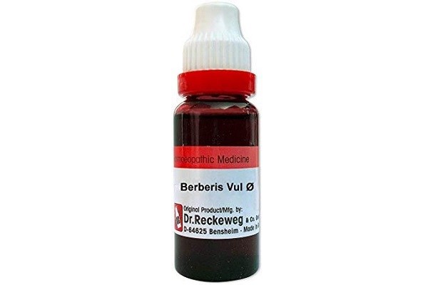 Berberis vul Q 20 ml | Dr. Reckeweg, Germany