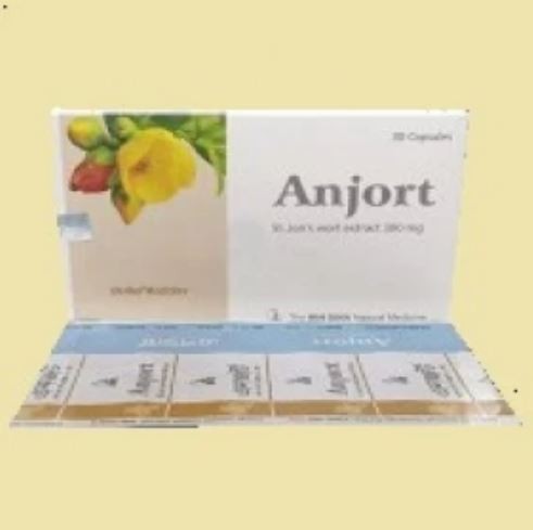Anjort Capsule 300 mg 30's pack