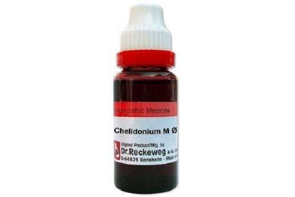Chelidonium M Q 20 ml | Dr. Reckeweg, Germany