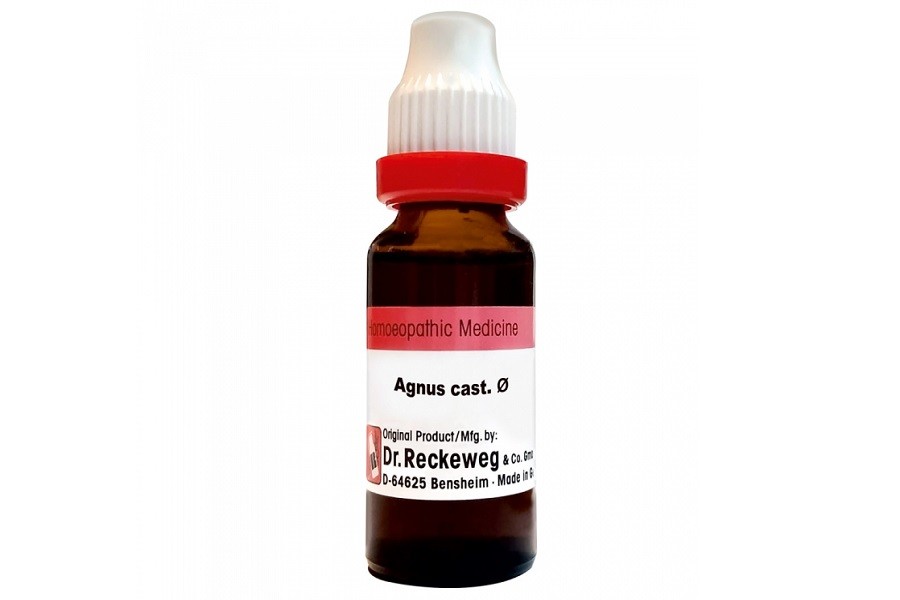 Agnus Cast Mother Tincture Q 20 ml | Dr. Reckeweg, Germany