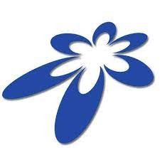 Conpan ODT 0.5 Tablet 10's strip